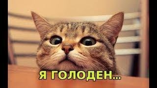 ПРИКОЛЫ!!!! 2018 ЗА Август