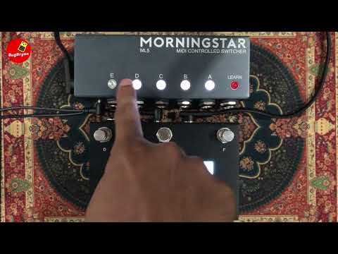ML5 by Morningstar Engineering | RockBoard