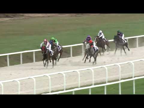 2020.10.18. 03. futam - AMATŐRVERSENY HENDIKEP (IV.o.) (szintetikus pálya)