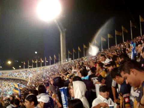 "Dale Dale oh dale azul y oro" Barra: La Rebel &bull; Club: Pumas