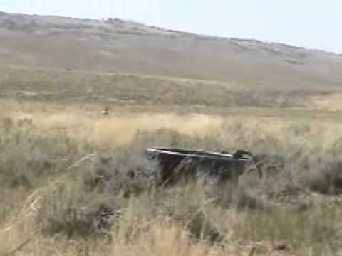 bart-graves-archery-antelope-