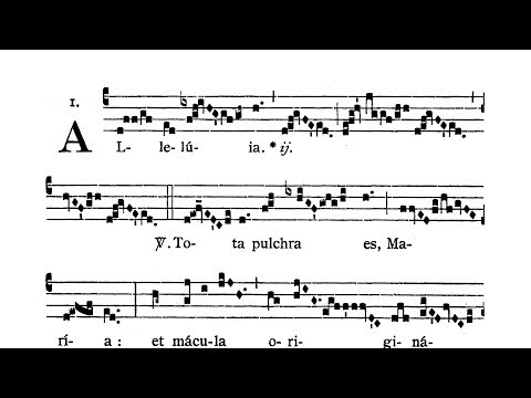 Immaculate Conception of the Blessed Virgin Mary - Alleluia (Tota pulchra es)