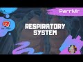 Respiratory System Song 