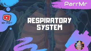 Respiratory System Song