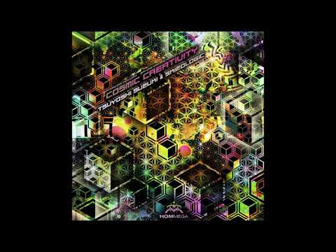 Skizologic & Tsuyoshi Suzuki - Cosmic Creativity 2016