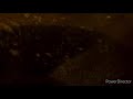 Dinosaur 2000 Underwater Scene