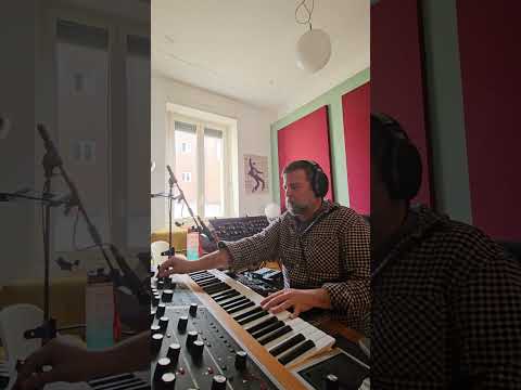 Moog One Analog stereo patch_NO FX, then built in REVERB at  01:22