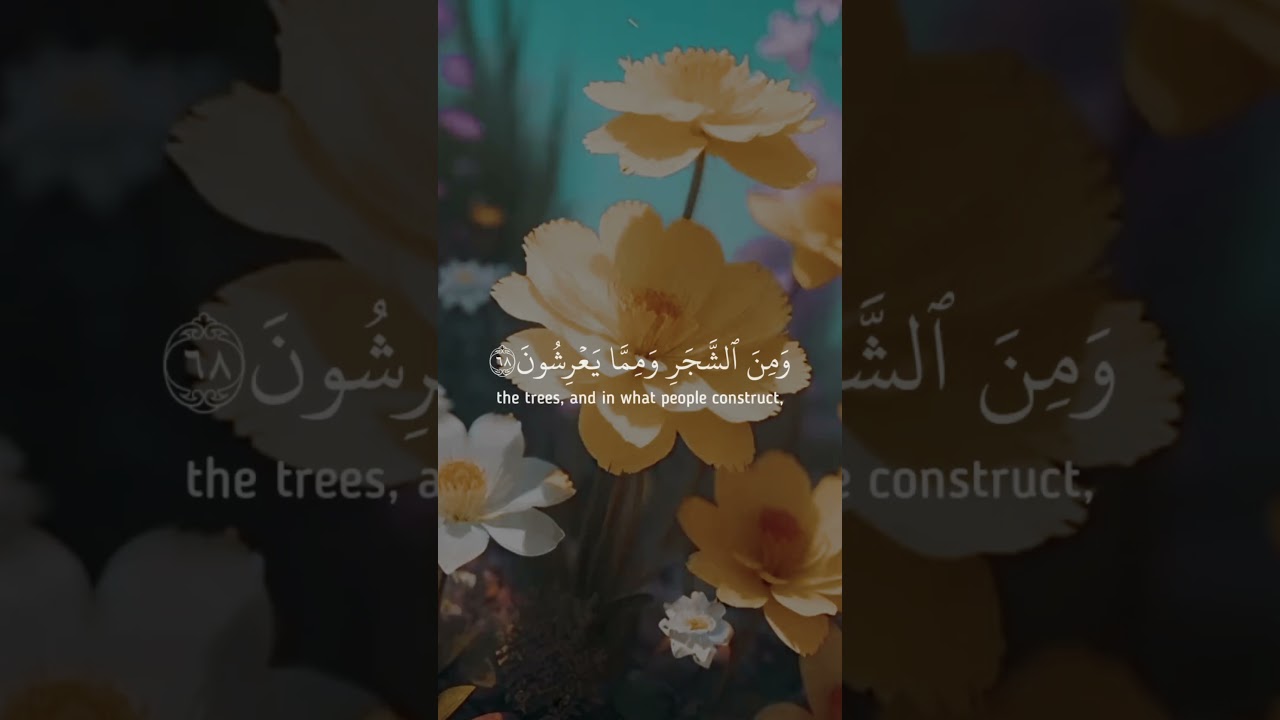 Quran Recitation | Emotional quranic words