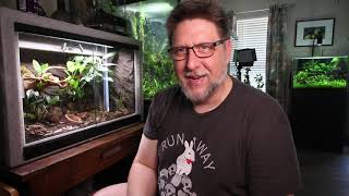 The Nano Vivarium Challenge - Crested Gecko Enclosure