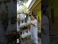 Vlog Sayur Emak Emak Belanja Sayur