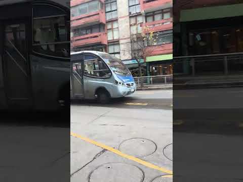 par de buses 14 Chiguayante sur y 21 Rivera bio bio #buses