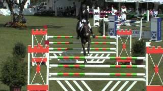 Video koně Continuo