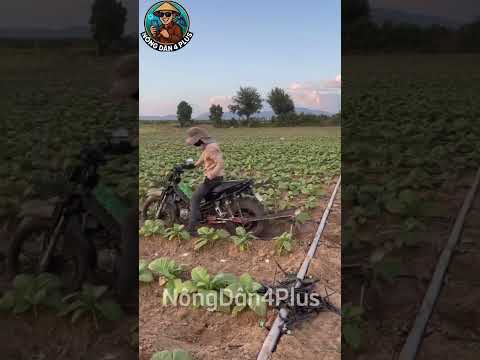 Xe Máy Cày Là Đây Nè Anh Em,Sáng Chế Này Quá Tiện Lợi #nongdan#nongnghiep#shortvideo#mientay