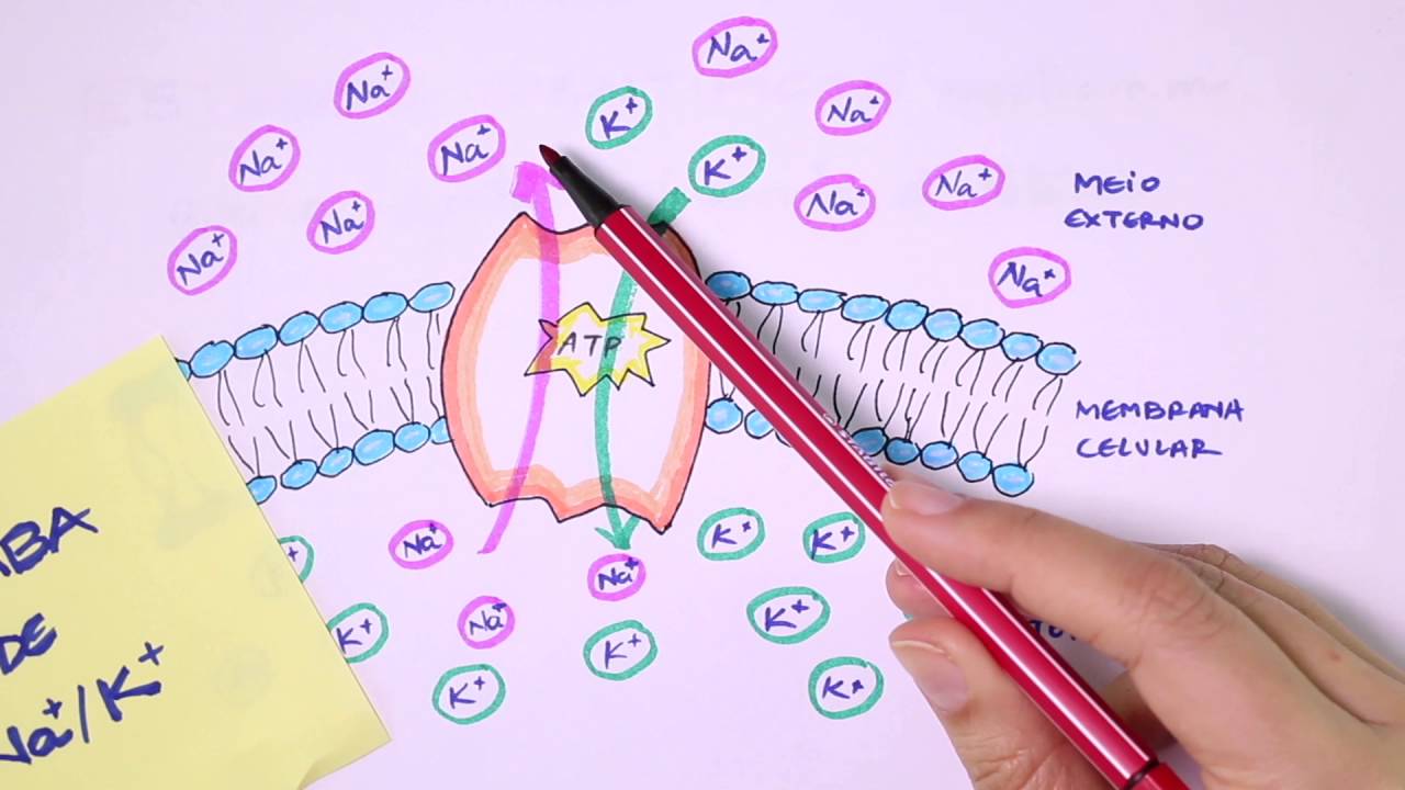 Bomba Sódio Potássio - Dá Uma Força
