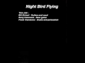 Night Bird Flying - A Tribute to Jimi Hendrix 