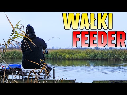 FEEDER ROLLERS - River feeder and ROLLERS test - Autumn Fishing!! Was it WORTH IT?