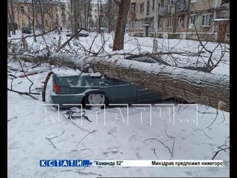 Легкий ураган с тяжелыми последствиями - рухнувшие леса и раздавленные машины