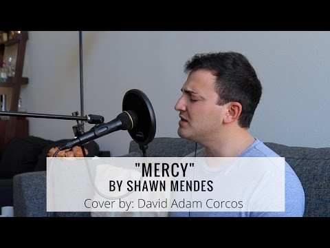 Mercy - Shawn Mendes | Cover by David Adam Corcos