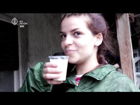 Pajtafesztivál és parasztolimpia Kiscsőszön