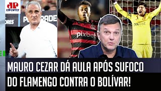 ‘Era jogo pro Flamengo sobreviver! E sobreviveu, mas o Tite pra mim…’; Mauro Cezar dá aula