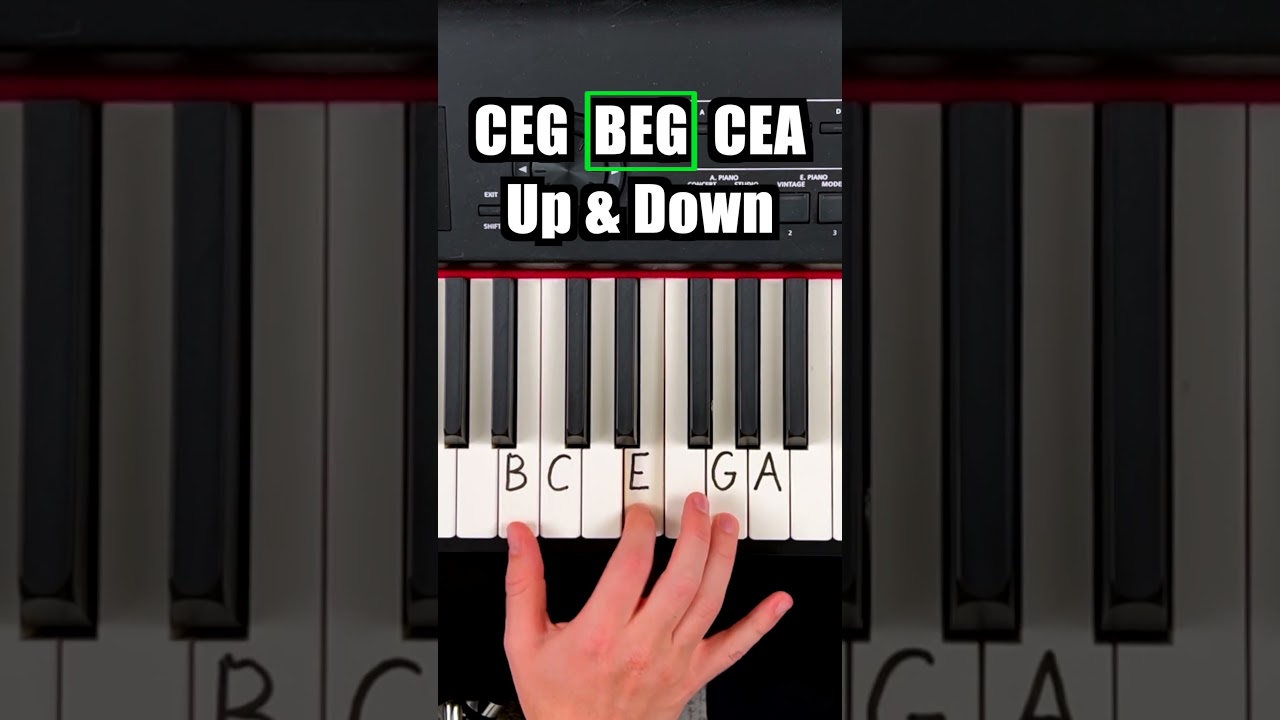 ☝️ Learn 4 Chords Play 100's of Songs - Link in bio