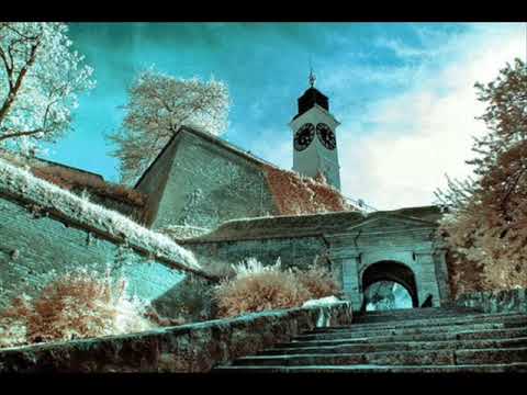 Zvonko Bogdan - 8 tamburaša s Petrovaradina