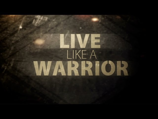 Matisyahu - Live Like A Warrior (Remix Stems)