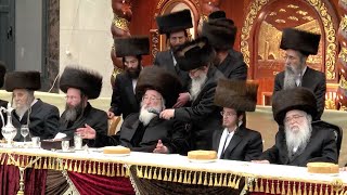 קבלת פנים • שמחת בית ספינקא - דאראג - בערגסאז, כ״ט שבט תשפ״ג