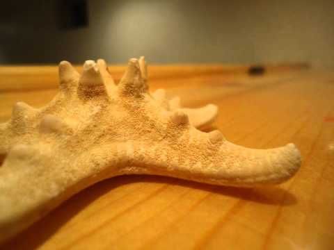 Cheeko G Ft. EJC - First Impression