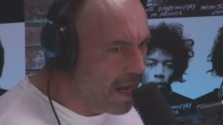Joe Rogan and Brendan Schaub straighten dumbass &quot;toughguy&quot; Bryan Callen right out, HILARIOUSLY