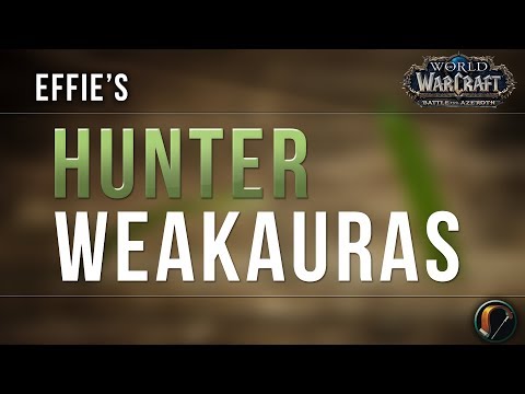 Effie's BM & MM Hunter WeakAuras for Wow Battle for Azeroth Patch 8.0.1