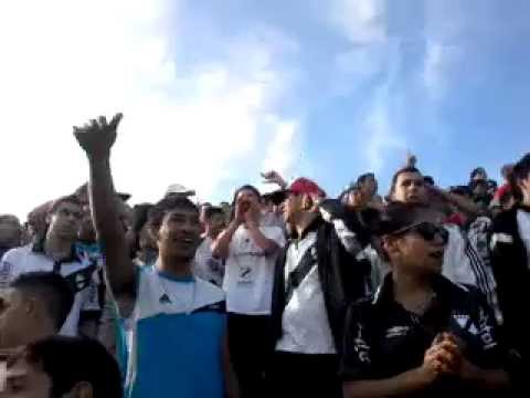 "Traigan vino juega Danubio ♪ - Danubio Vs Racing" Barra: Los Danu Stones • Club: Danubio