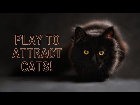 Play this to attract your cat and make it meow back (works instantly!)