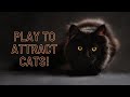 Play this to attract your cat and make it meow back (works instantly!)