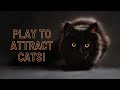 Play This To Attract Your Cat And Make It Meow Back Works Instantly