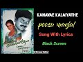 Poosu Manjal Sad Song Kanavae Kalaiyathe Song With Lyrics Black Screen Deva Hariharan