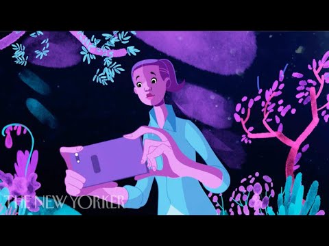 The Enchanted Forest | A Short Film | TNY Studio [Paid Post]