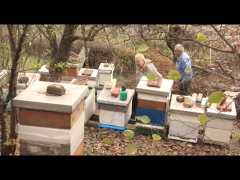 Boja meda ep. 36 13.11.2018 NAJAVA