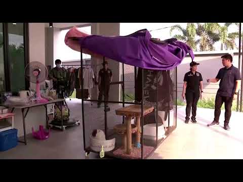 NatWest因洗錢面臨刑事調查 (NatWest faces criminal probe over cash laundering)