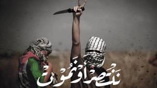 أنشودة شيلي شيل ثائر يا وطن رمزي العُك