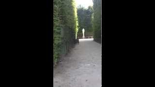 What King Louis XIV knew about Yin-Yang