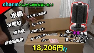 【開封】予定を大きく変えました！仕事場に１から水槽立ち上げます!！
