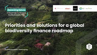 Priorities and solutions for a global biodiversity finance roadmap