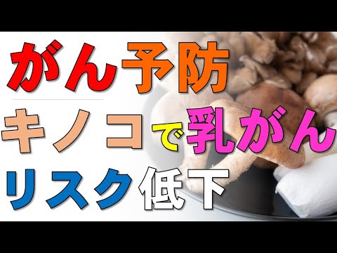 悪のネットワークが腫瘍を耐性にする