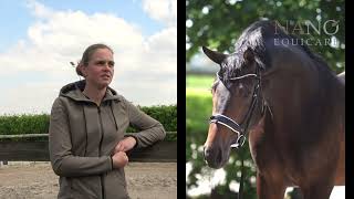 De blessures van mijn paard veel beter op te vangen dankzij Nano CellCare therapie