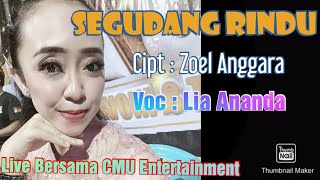 Download lagu Lia Ananda - SEGUDANG RINDU || Cipta : Zoel Anggara || Live Bersama CMU Entertainment mp3 Download lagu Lia Ananda - SEGUDANG RINDU || Cipta : Zoel Anggara || Live Bersama CMU Entertainment mp3