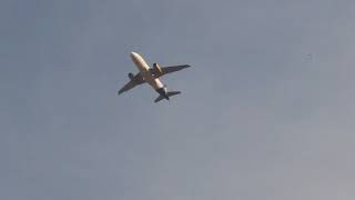 preview picture of video 'Shaheen Air International - Airbus A319'