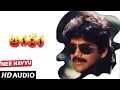 Antham Songs Nee Navvu Nagarjuna Urmila Matondkar Telugu Old Songs R D Burman