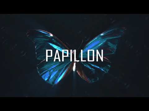 [FREE] Papillon I Hamza X 13 Block Type Beat 2019