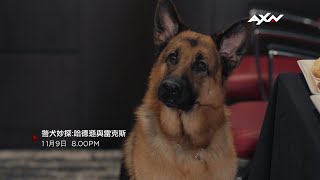 AXN《警犬妙探:哈德遜與雷克斯 》第一季 Hudson & Rex | 11/9(二)起 週一至週五 晚間 8 點 播出